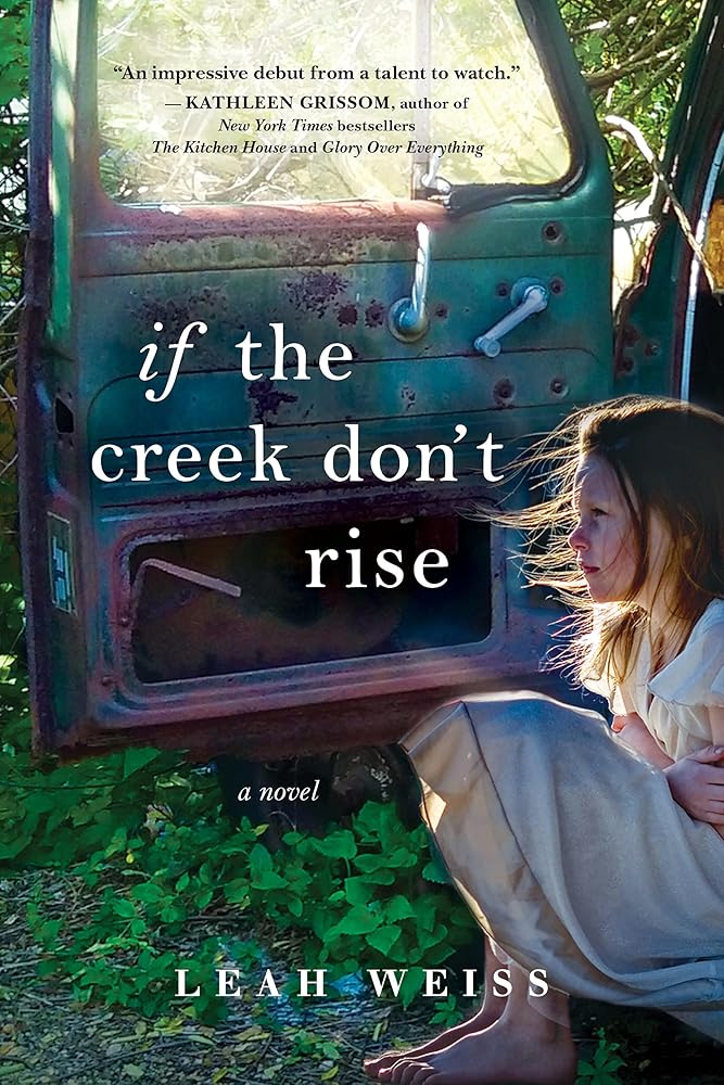 If the Creek Don't Rise: A Novel cover image