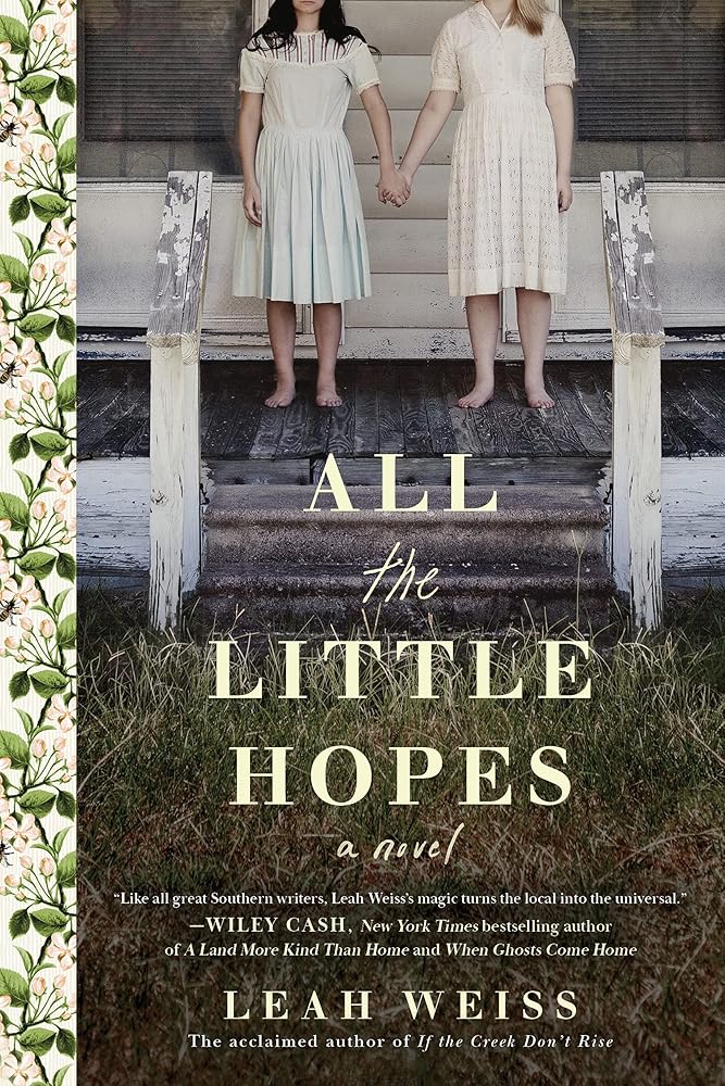 All the Little Hopes: A Novel cover image