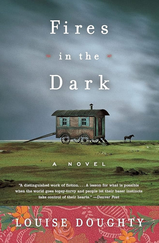 Fires in the Dark: A Novel cover image