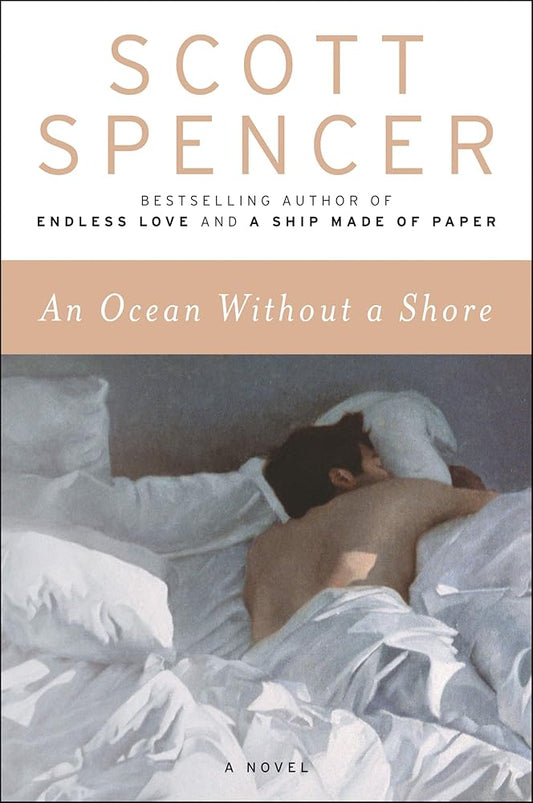 An Ocean Without a Shore: A Novel by the Author of Endless Love cover image
