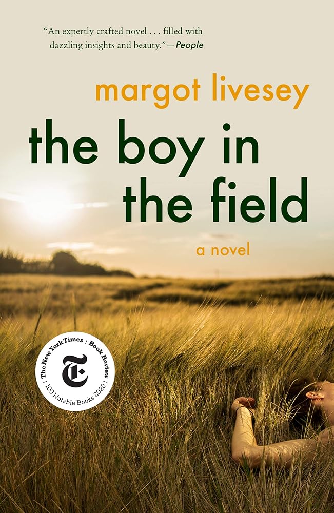The Boy in the Field: A Novel cover image