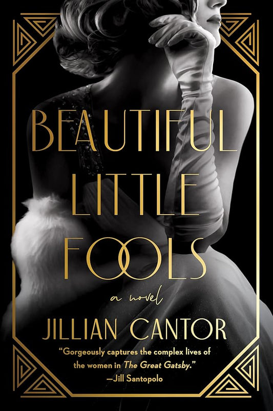 Beautiful Little Fools: A Novel cover image