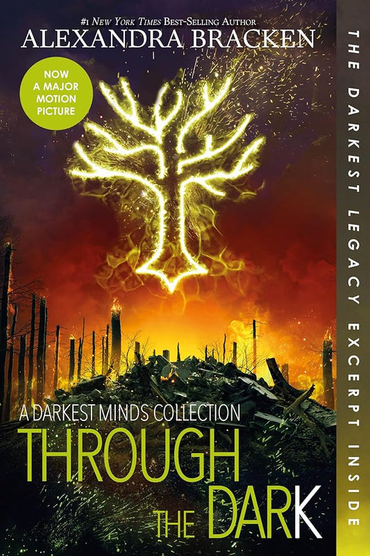 Through the Dark (Bonus Content)-A Darkest Minds Collection (A Darkest Minds Novel) cover image