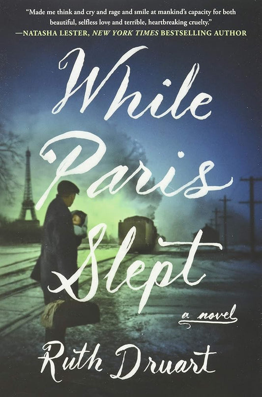 While Paris Slept: A Novel cover image