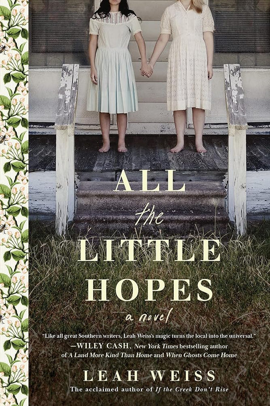 All the Little Hopes: A Novel cover image
