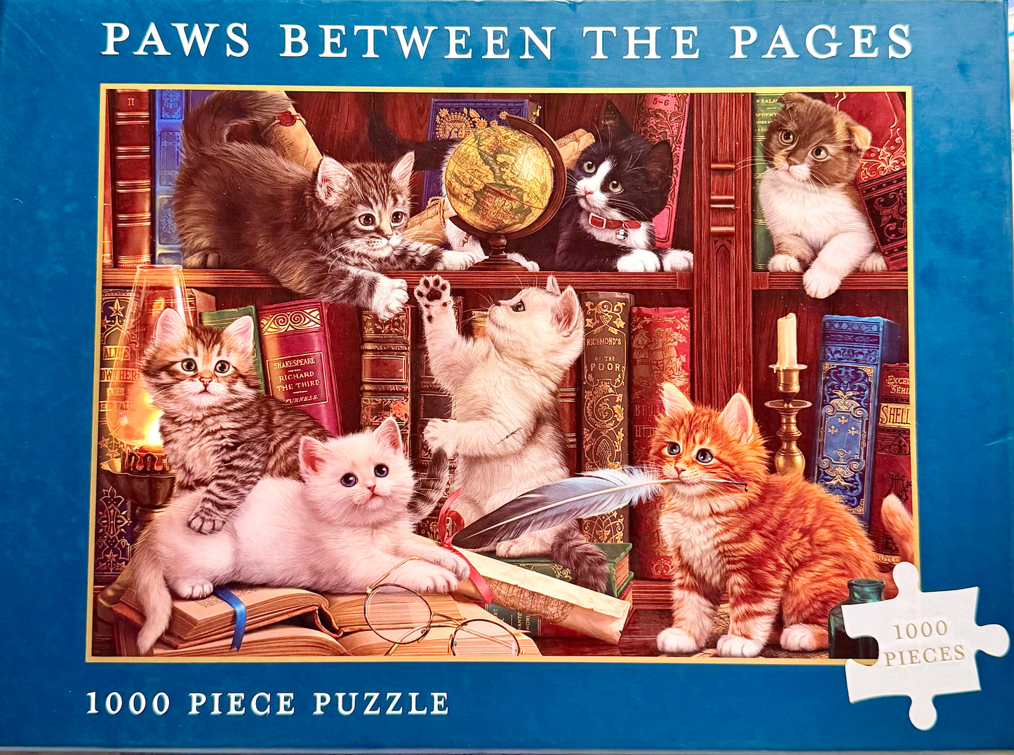 1000 Piece Image World Jigsaw Puzzle