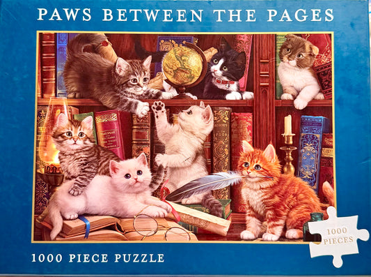 1000 Piece Image World Jigsaw Puzzle